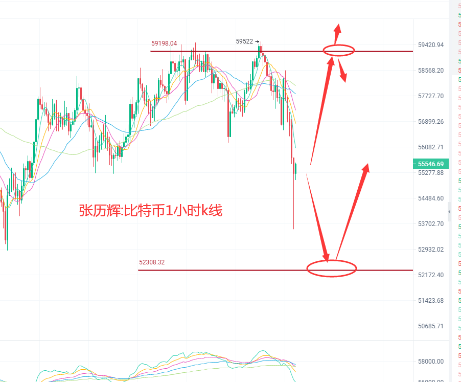 张历辉：5.11比特币,以太坊,FIL,波卡，莱特币集体跳水？只有狗狗币看涨？BTC,ETH,DOGE,FIL,DOT操作建议1