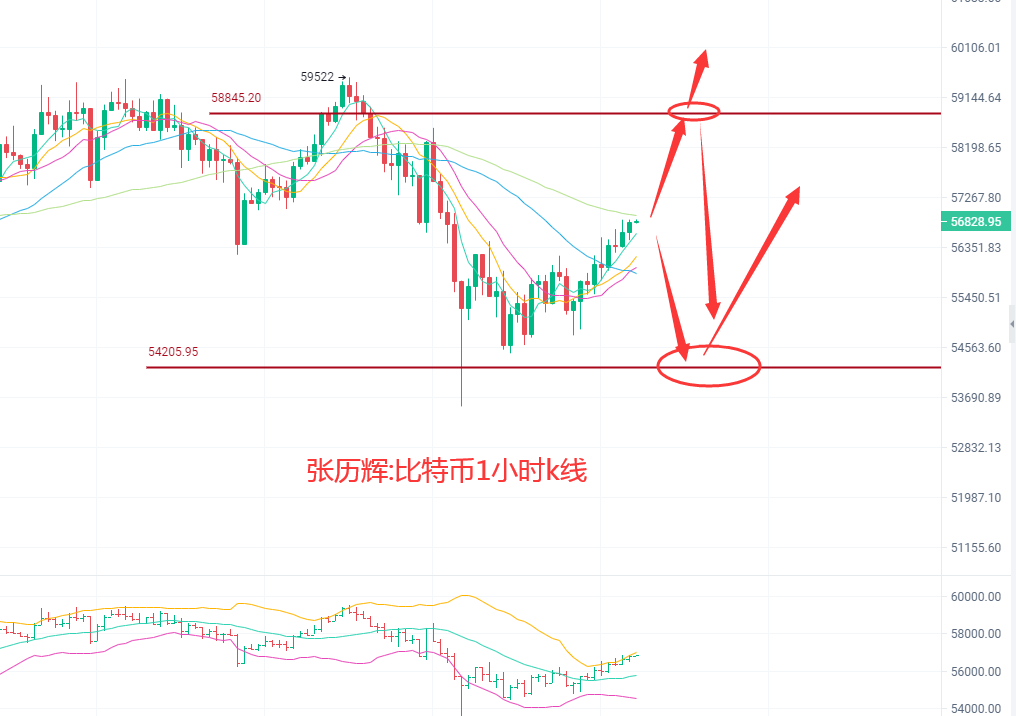 张历辉:5.12比特币高位震荡?以太坊再破新高?狗狗币依旧看涨!FIL,波卡,莱特币上升无力!BTC,ETH,DOGE操作建议1 张历辉:5.12比特币高位震荡?以太坊再破新高?狗狗币依旧看涨!FIL,波卡,莱特币上升无力!BTC,ETH,DOGE操作建议1