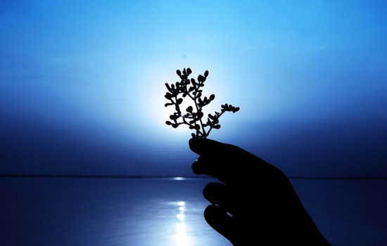 6.21.多空反复，是否有再次探底，底部在那里？？BTC,ETH, LTC行情分析及操作建议2