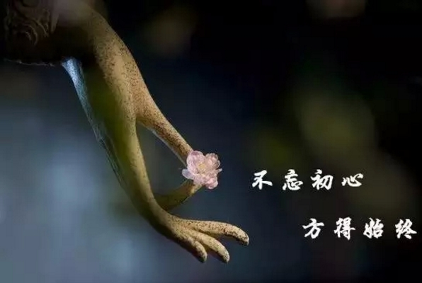 张历辉:6.30炒币人应该有的四种心态与五大技巧!新老手必看!5 张历辉:6.30炒币人应该有的四种心态与五大技巧!新老手必看!5